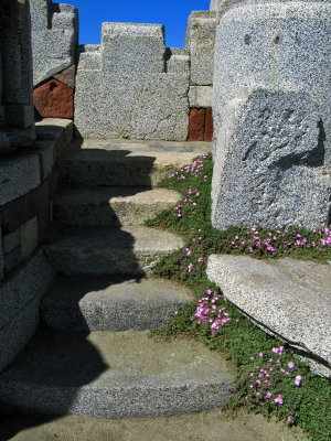 The Wave Organ