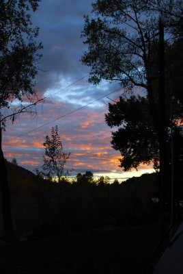 Colorado Color