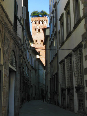 Lucca Views