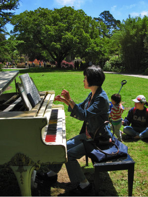Flower Piano in the Botanical Garden