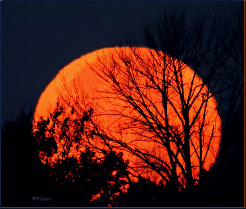 Rising Super Moon 2016