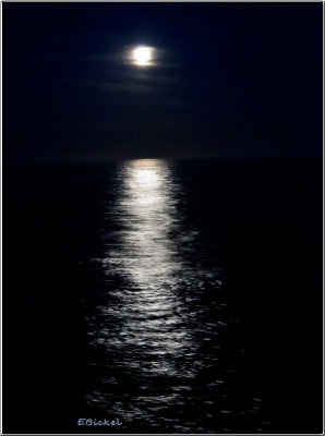 Moon Light on the Ocean 2013
