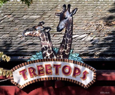 TreeTops