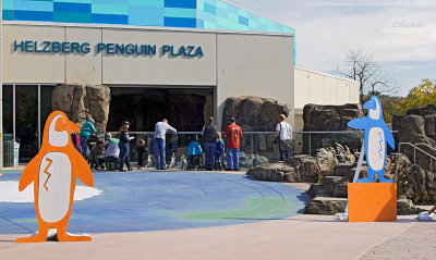 Penguin Plaza
