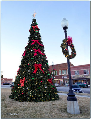 The Mayor's Christmas Tree