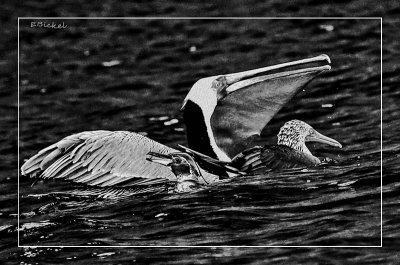 g9/92/77692/3/156574003.5LR55I9H.jpg