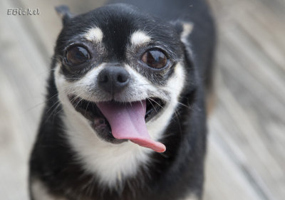 Look at Me!!!