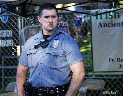 Keeping the Public Safe 2014
