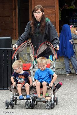 Double Stroller 2015