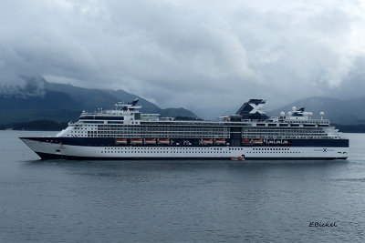 Celebrity Infinity