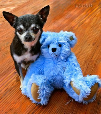 Dana and the Blue Bear