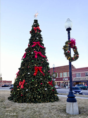The Tree at Independence Square 2013