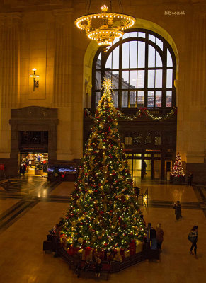 The Tree at Union Station 2015