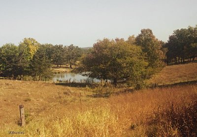 Central Missouri