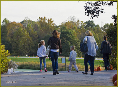 Walk with the Pumpkins