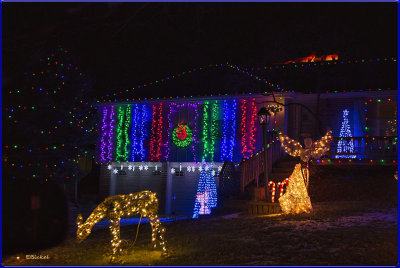 The Neighbor's Christmas Lights 2016
