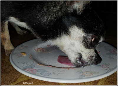 Yum!  Cherry Pie