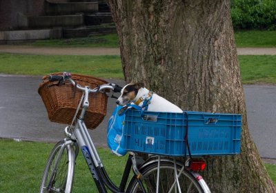 09_20792_Amsterdam.jpg