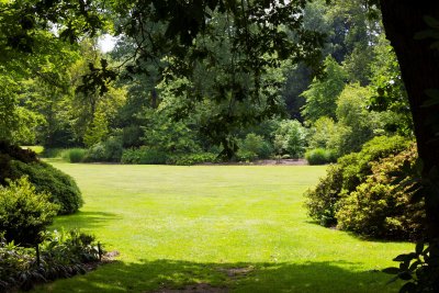 04_Savill Garden.jpg