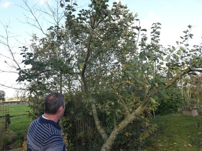 Pruning 03.jpg