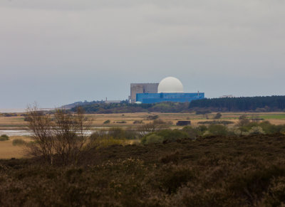 00707_Sizewell.jpg