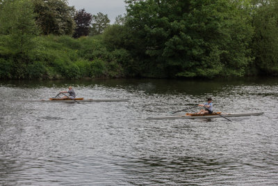 31110_sculling.jpg