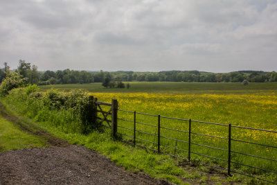 g9/92/797892/3/163348572.9DRht7zX.jpg
