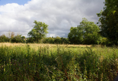 32047_Cox land N End Rd.jpg