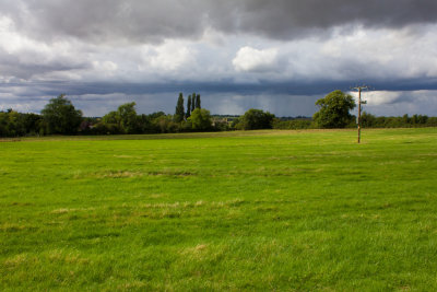 32053_Gladman.jpg