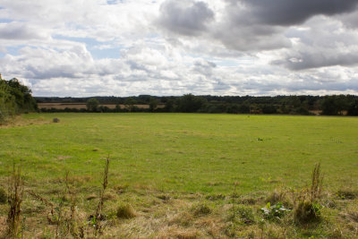 32088_Mollys field.jpg
