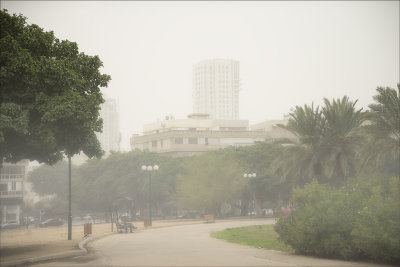 Rare Fog in Tel Aviv.jpg