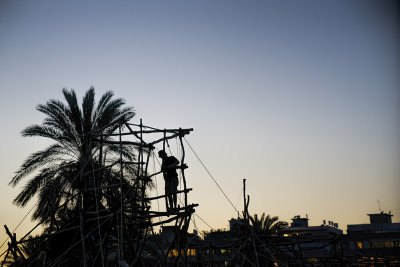 Shadows Silouettes Reflections and Mists in Israel