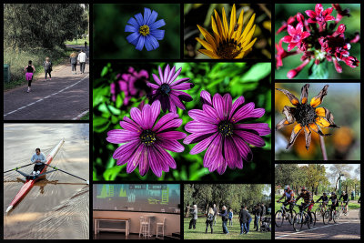 Winter walk to the Beautiful Israel Centre with a Macro Lens