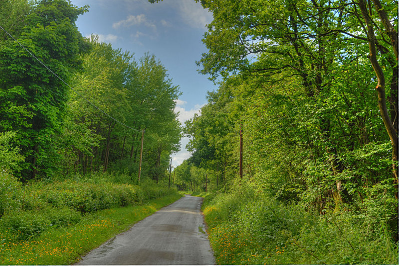 Narrow road with passing places.