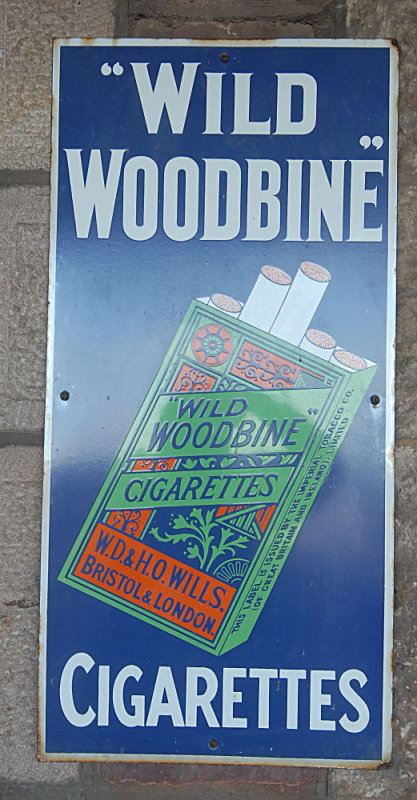 Wild Woodbine.