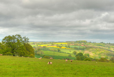 Herefordshire view.