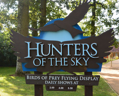 Hunters of the sky.
