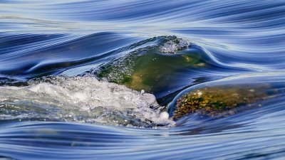 Incoming Tide