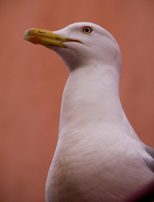 l'attente