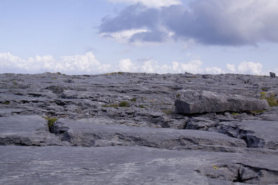 Burren