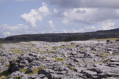 Burren