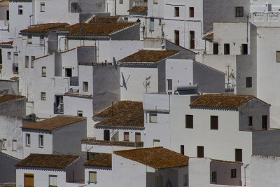 Casares