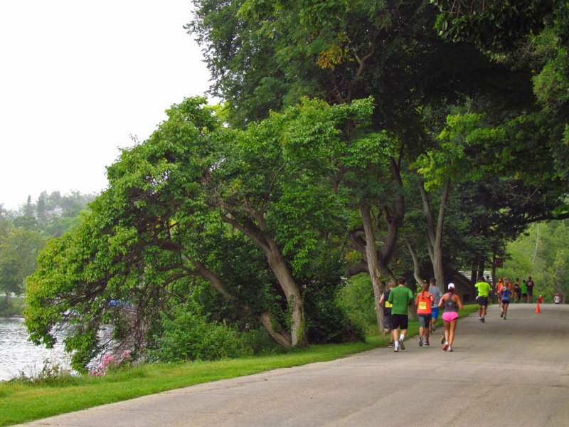 IMG_1622 GLCC along lakeshore - 2014.jpg