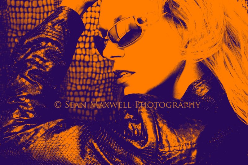 Headshot by Sean Maxwell Photography