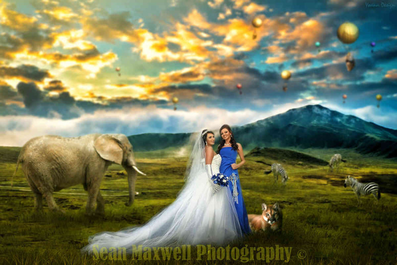 Wedding Photo