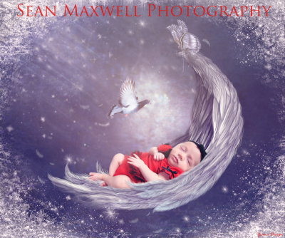 Babies and Childrens Photography