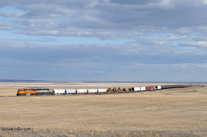 Helena 2013