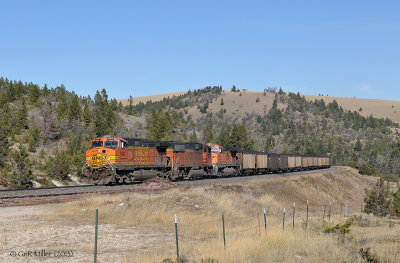 MRL Skyline, MT