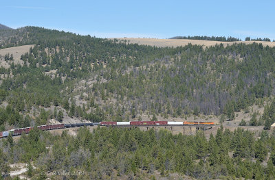 MRL Skyline, MT