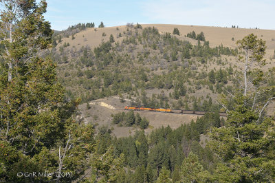 MRL Skyline, MT